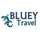 Bluey Travel