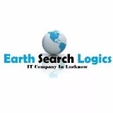 Earth Search Logics