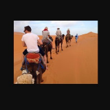 Morocco Excursion Desert