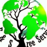 E&S Tree Service