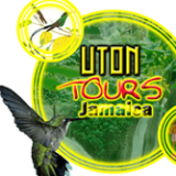 Private Tour Operator Jamaica