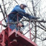 Southern Maryland Fellers Tree Service