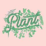 Plant By Packwood