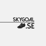 Sky Goal