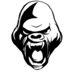 Gorilla Fight Gear