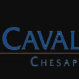 Cavalier Ford Chesapeake Square