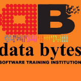 Data bytes