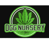 OGG Nursery