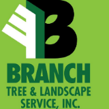 Branch Tree & Landscape Service