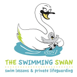 The Swimming Swan