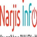 Narjis Infotech - Best IT Service Company in India