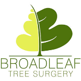 Broadleaf Tree Surgery