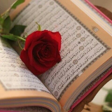 Learn Quran Academy 