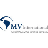 MV International Industrial Oven