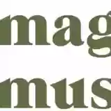 Magic Mushrooms Dispensary