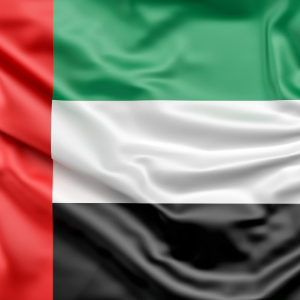 United Arab Emirates (UAE) Hub