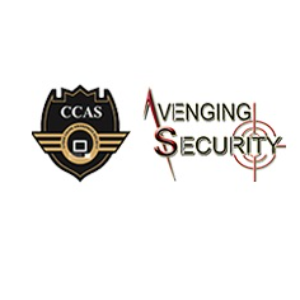 Avenging Security