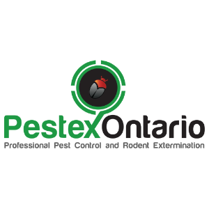Pestex Ontario