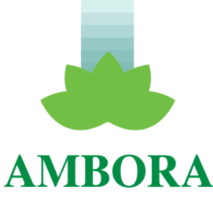 AMBORA STAR