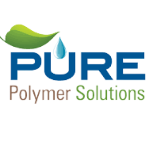 Pure Polymer Solutions