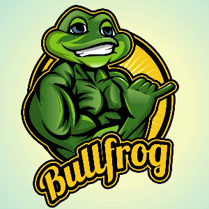 Bullfrog Digital Marketing Agency
