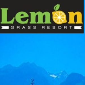 Lemon Grass