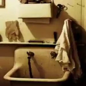 Crocodile Window Cleaning & Pressure Washing