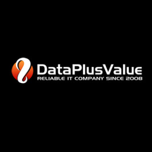Data Plus Value Web Services