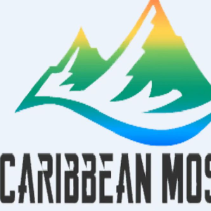 Caribbean Moss 