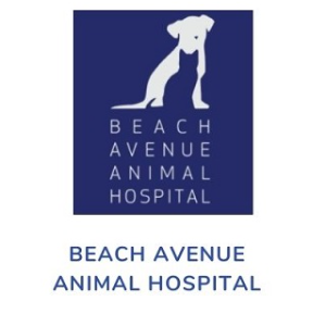 Beach Avenue Animal Hospital