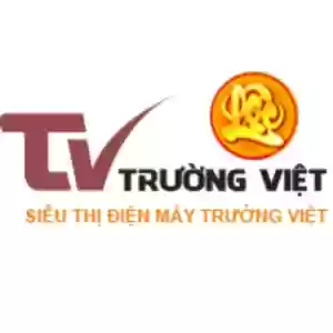 Điện M&aacute;y Trường Việt