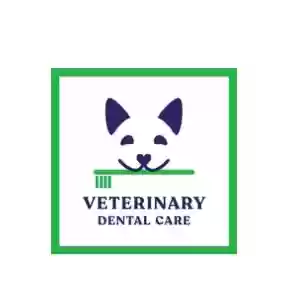 Veterinary Dental Care