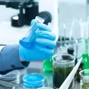 E & B Scale Services, Inc