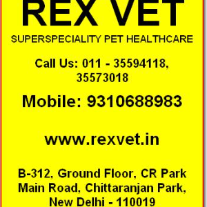 Rex Vet Super Speciality Pet Healthcare