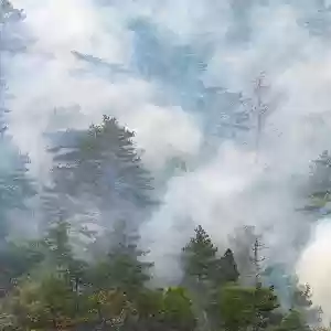 Lakeside Smoke Damage Experts