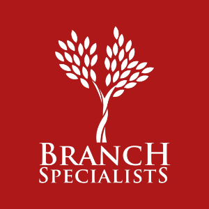 Branch Specialists Tree Service Rochester