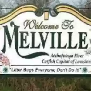 Majestic Pest Control of Melville