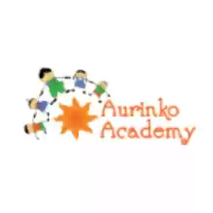 Aurinko Academy