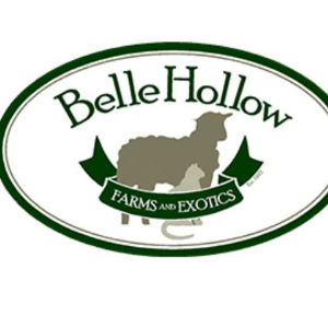 Belle Hollow Farms and Exotics