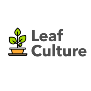 Leaf Culture