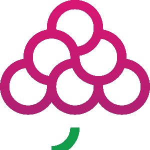 GrapesTech Solutions Pvt. Ltd.