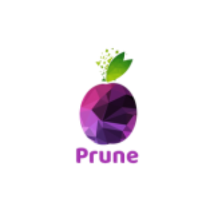 Prune Digital Solutions Pvt Ltd
