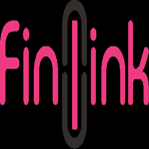 Fin Link Solutions LTD