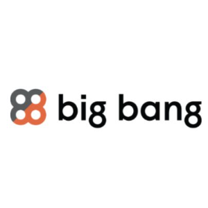 Big Bang - ERP Consultants