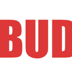 Buddyreps