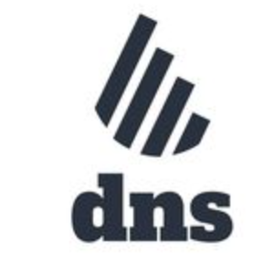 dns accountants 