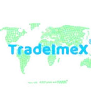 TradeImex Info Solution Pvt Ltd