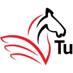 Tulpar Global Taxation