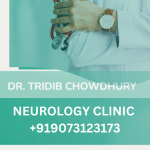 Dr. Tridib Chowdhury