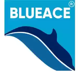 Blueace India Limited